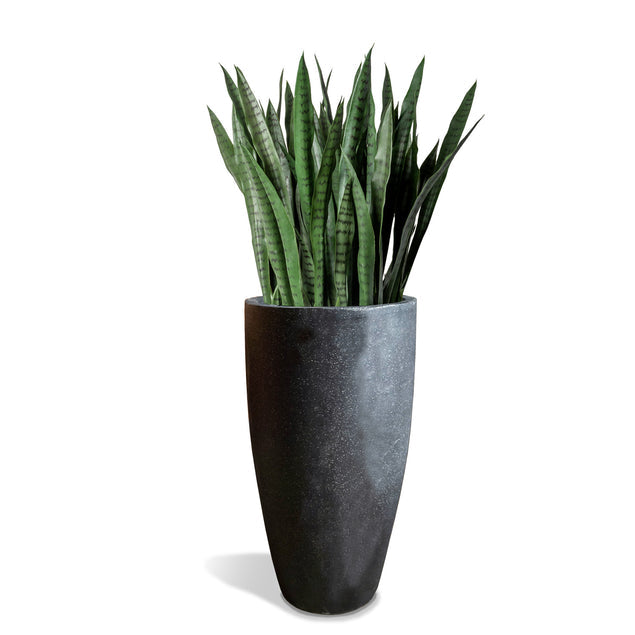 Sansevieria In Kawa Planter-Gold Leaf Design Group-GOLDL-HY3102-MDBK-PlantersShort-Granite Black-7-France and Son