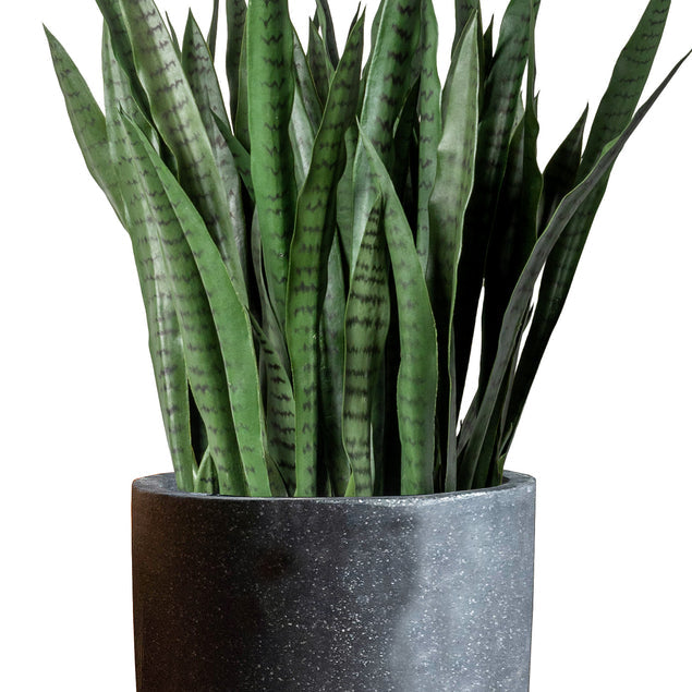 Sansevieria In Kawa Planter-Gold Leaf Design Group-GOLDL-HY3102-LGBK-PlantersTall-Granite Black-8-France and Son