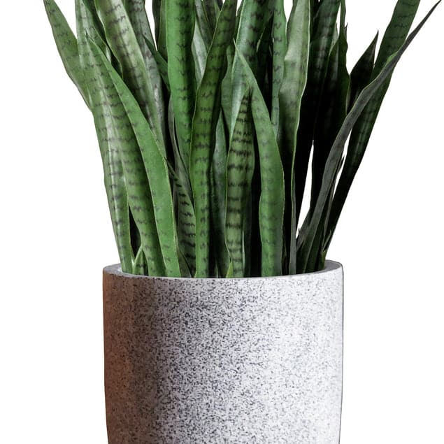 Sansevieria In Kawa Planter-Gold Leaf Design Group-GOLDL-HY3102-LGBK-PlantersTall-Granite Black-10-France and Son