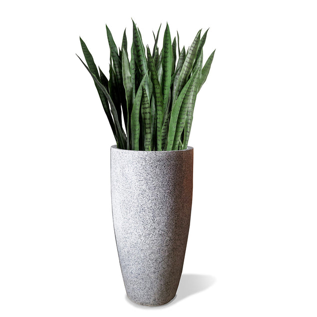 Sansevieria In Kawa Planter-Gold Leaf Design Group-GOLDL-HY3102-MDWH-PlantersShort-Granite White-9-France and Son