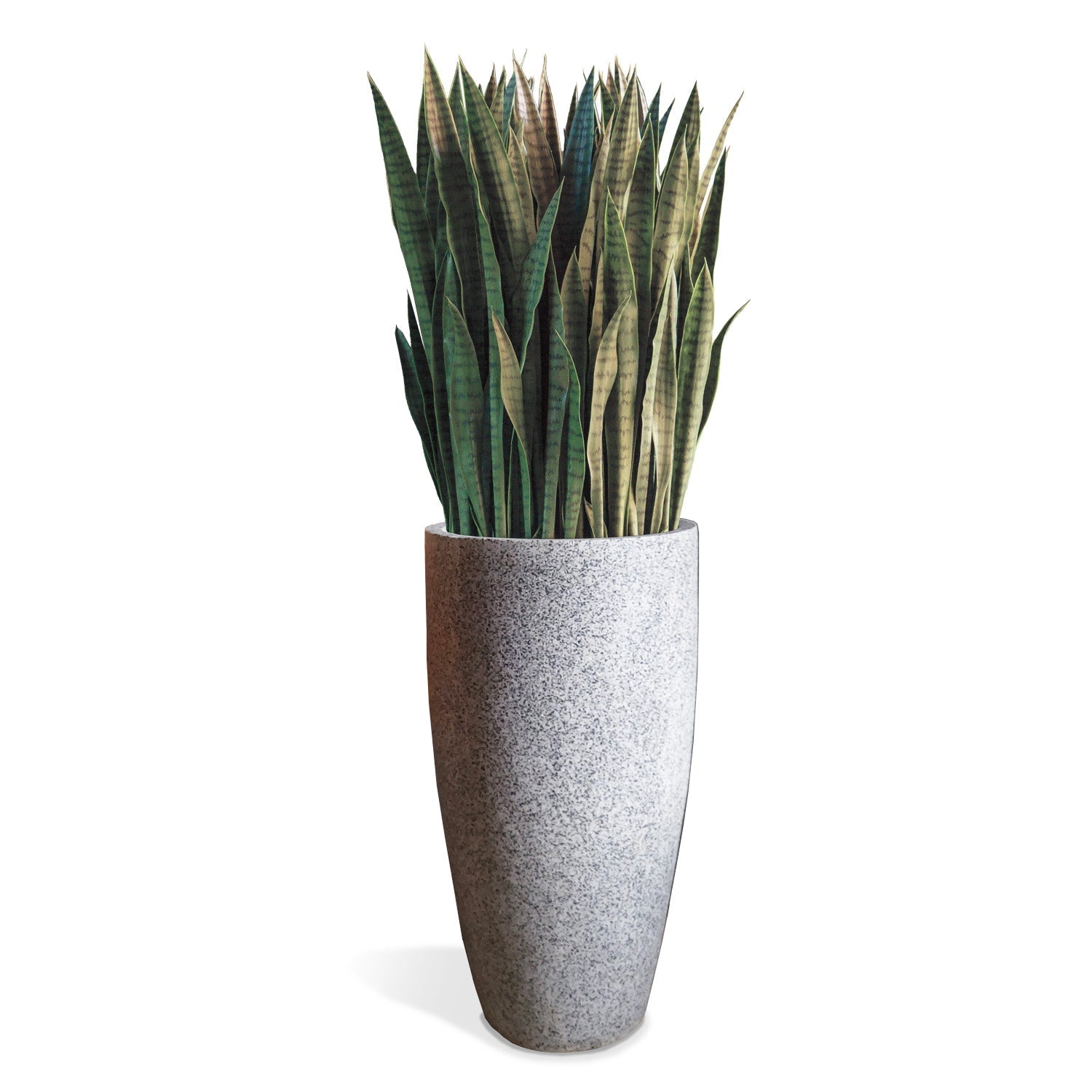Sansevieria In Kawa Planter - Extra Full-Gold Leaf Design Group-GOLDL-HY3102-LGWH-PlantersGranite White-4-France and Son