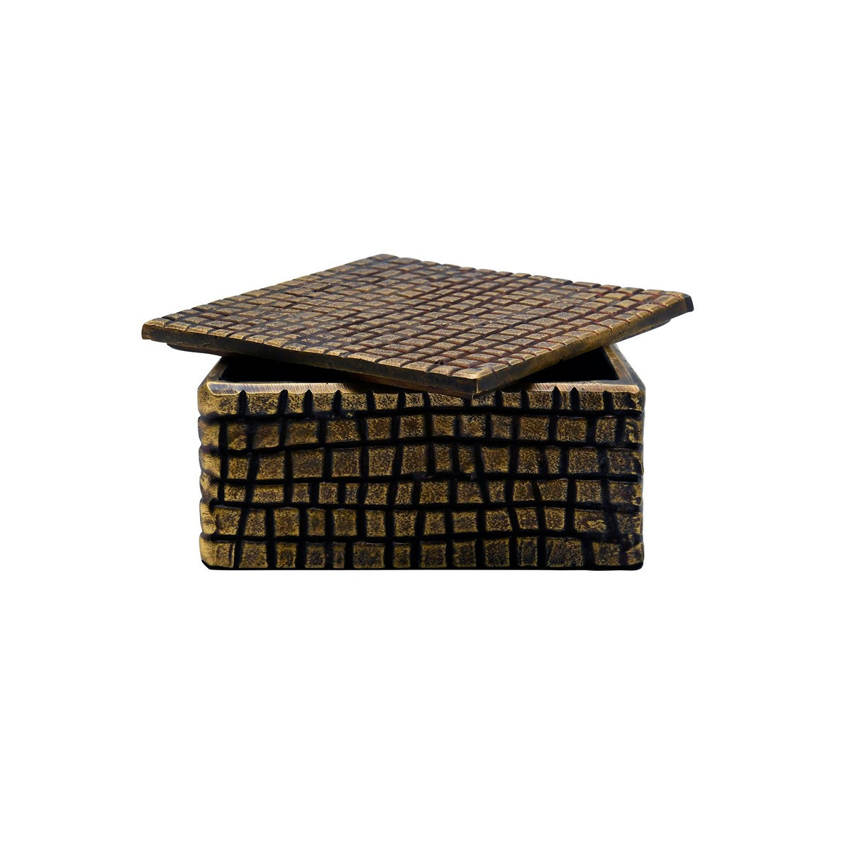 Lizzo - Small Brass Aluminum Box With Reptile Texture