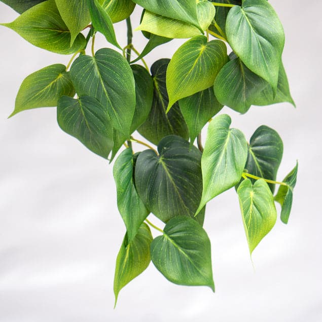 Philodendron Green Heart Leaf in Nama Planter - Large-Gold Leaf Design Group-GOLDL-HY3712-LG-Planters-3-France and Son