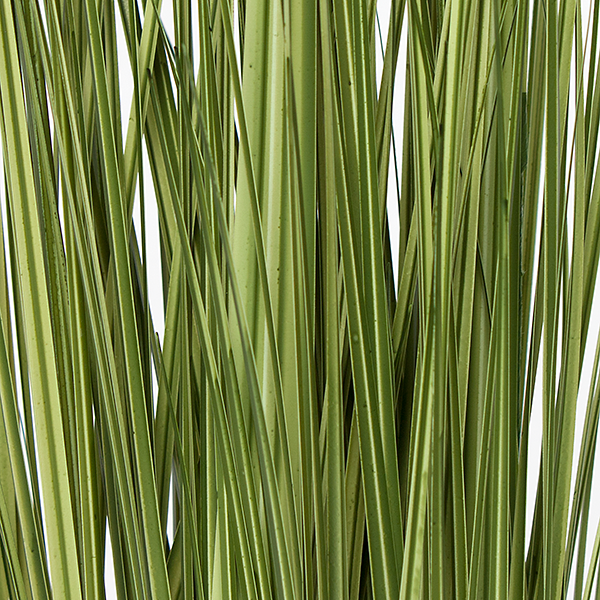 Grass - Japanese Grass In Urbano - LG-Gold Leaf Design Group-GOLDL-HY3087-LG-PlantersRectangle-2-France and Son