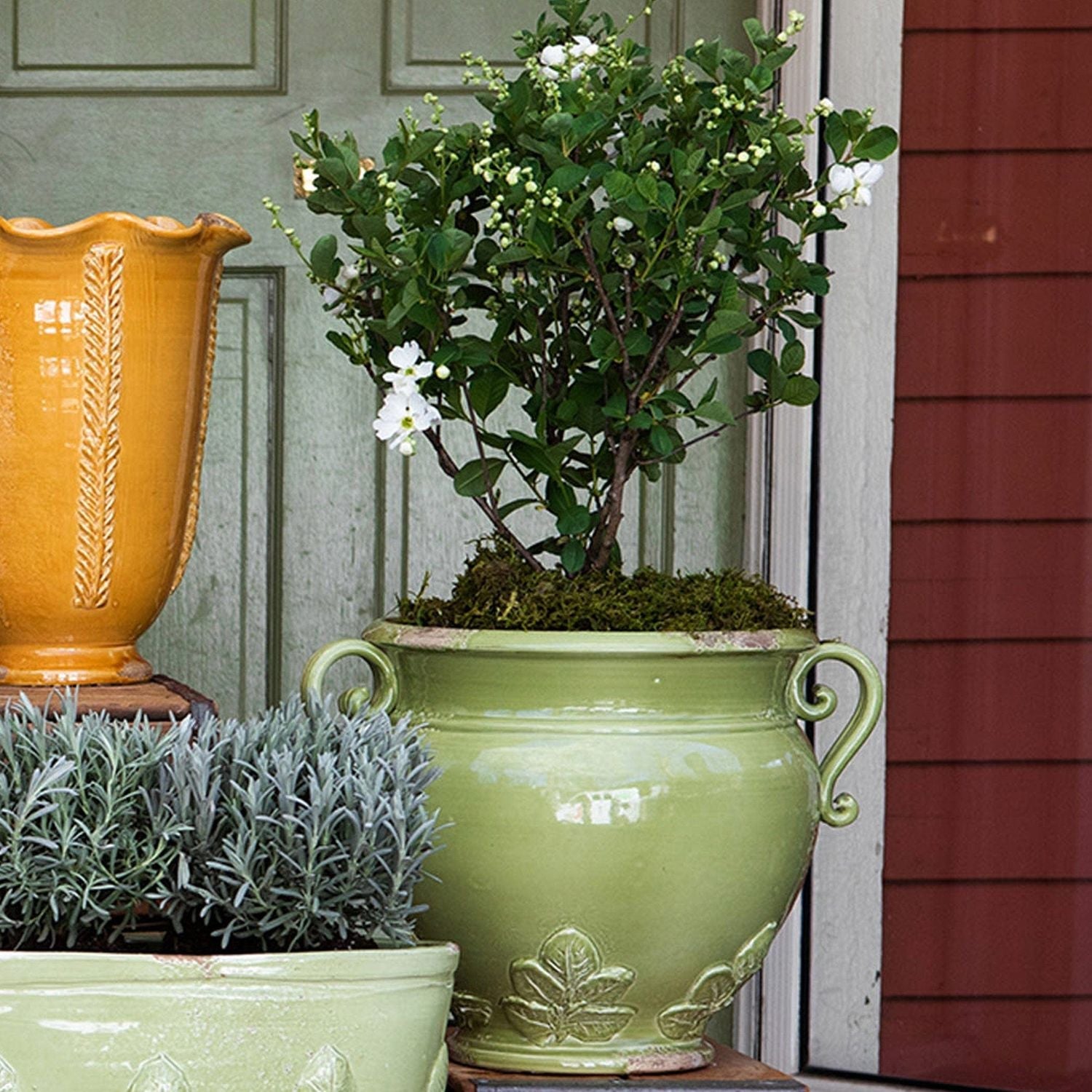 Rustic Garden Basil Round Planter
