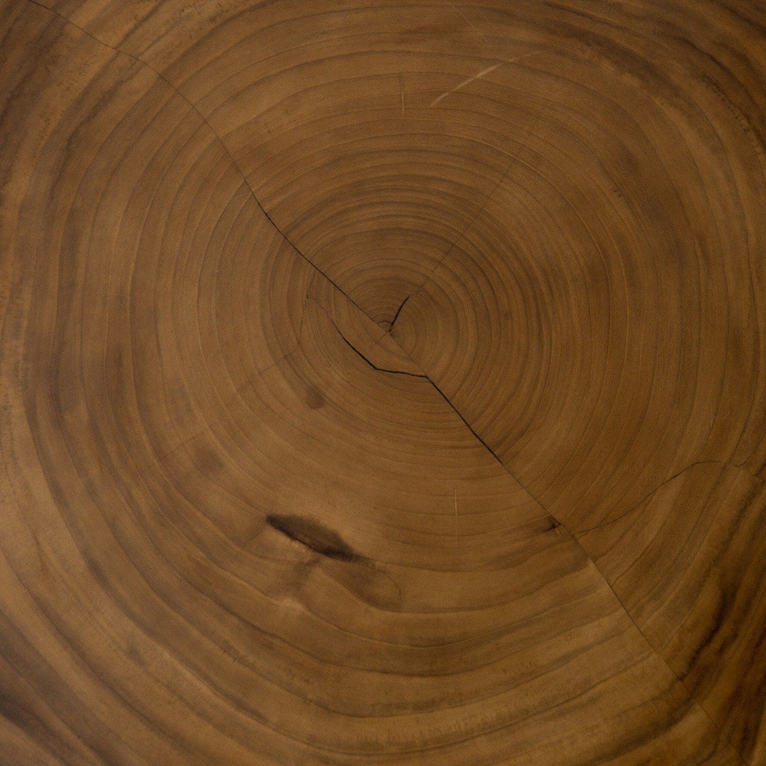 Exeter Coffee Table - Blonde Guanacaste