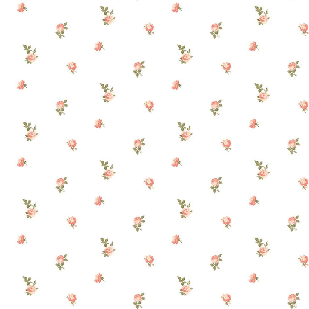 Miniature Roses Wallpaper-Mitchell Black-MITCHB-WC410-RG-PM-10-Wall DecorPatterns Rouge-Premium Matte Paper-7-France and Son