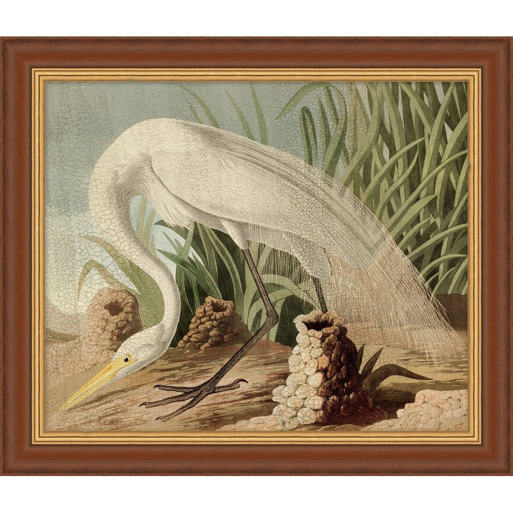 Egret Audubon 2 (Limited Edition Frame)