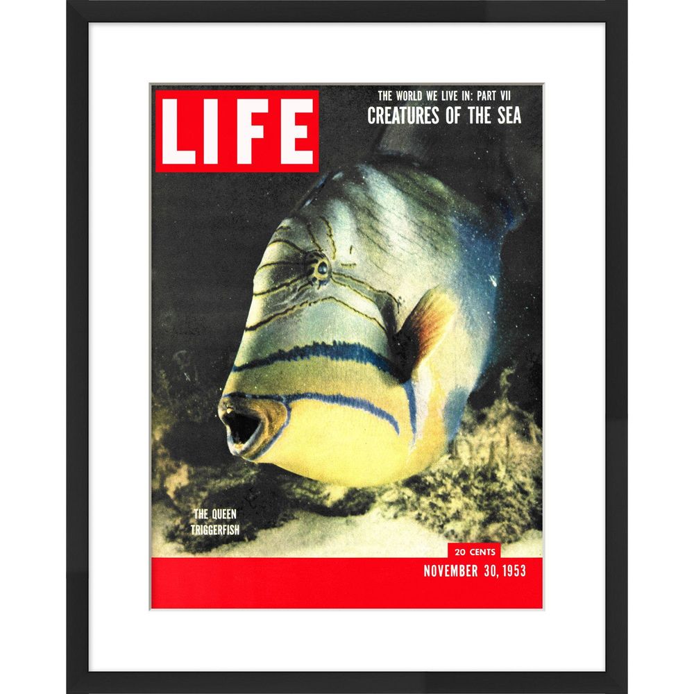 LIFE Cover- November 30, 1953