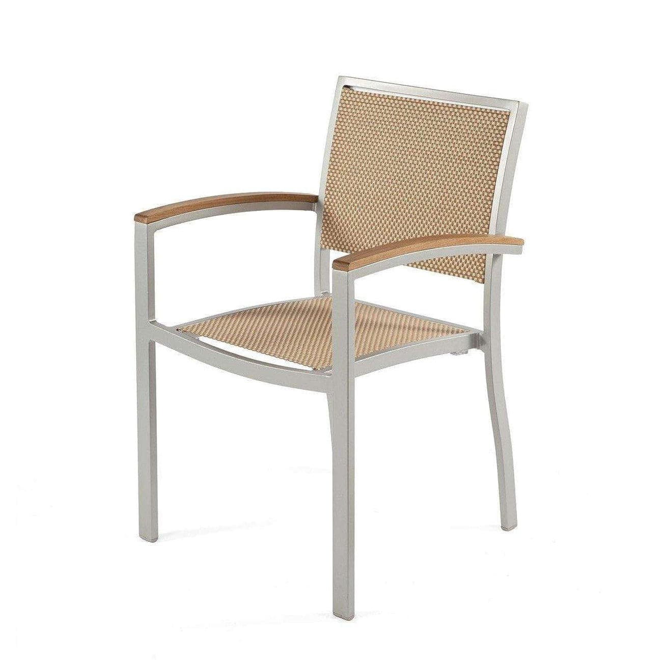 Modern Mayer Outdoor Arm Chair