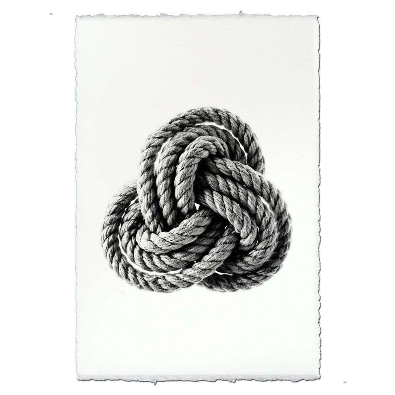 BARLOGA-CarrickKnotPrint  - Parent - carrick knot print 