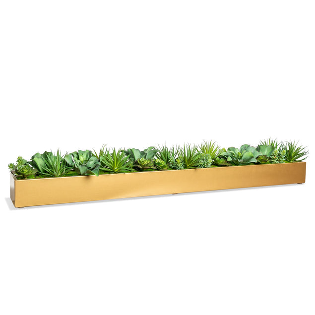 Desert Echeveria in Rectangle Planter-Gold Leaf Design Group-GOLDL-HY9428-54G-Planters-1-France and Son