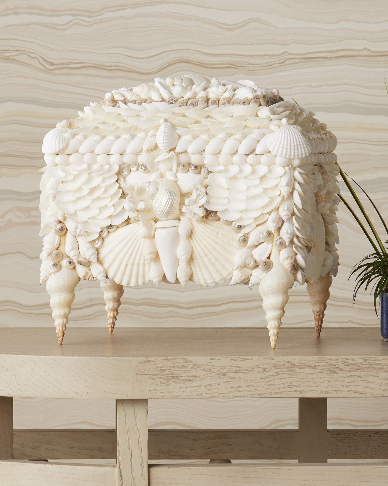 Boardwalk White Shell Jewelry Box