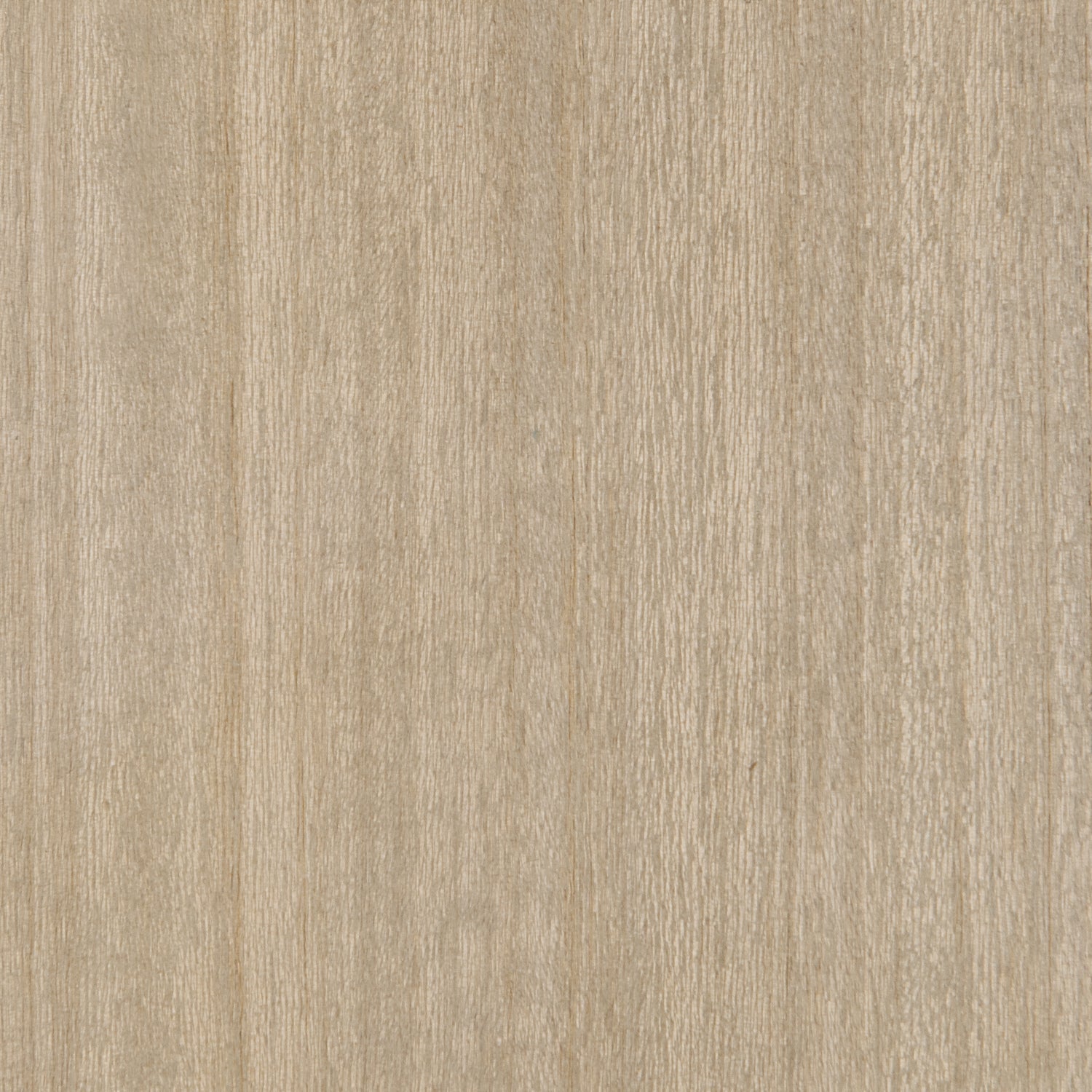 Odyssey  - Off White, Beige