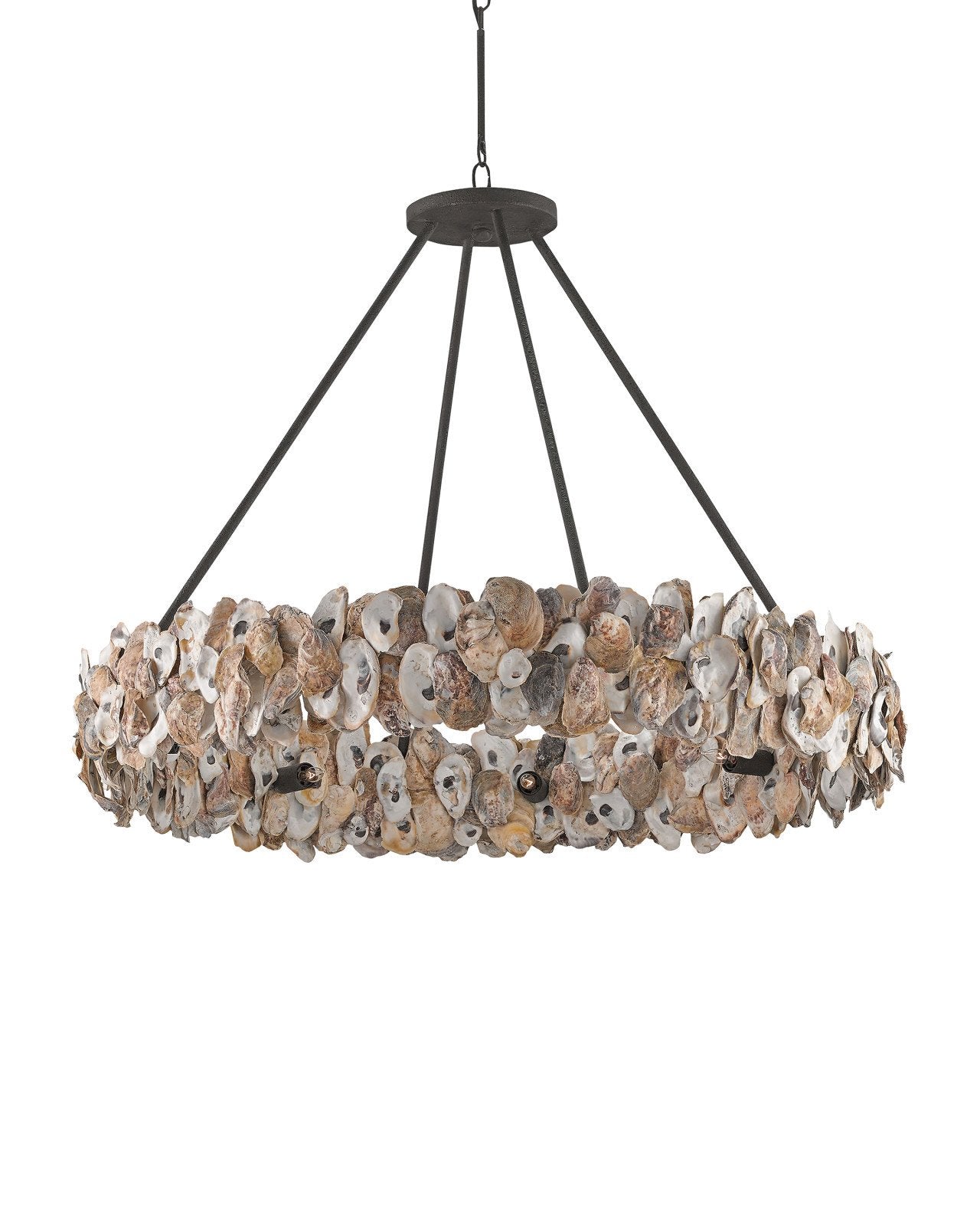 Oyster Shell Chandelier