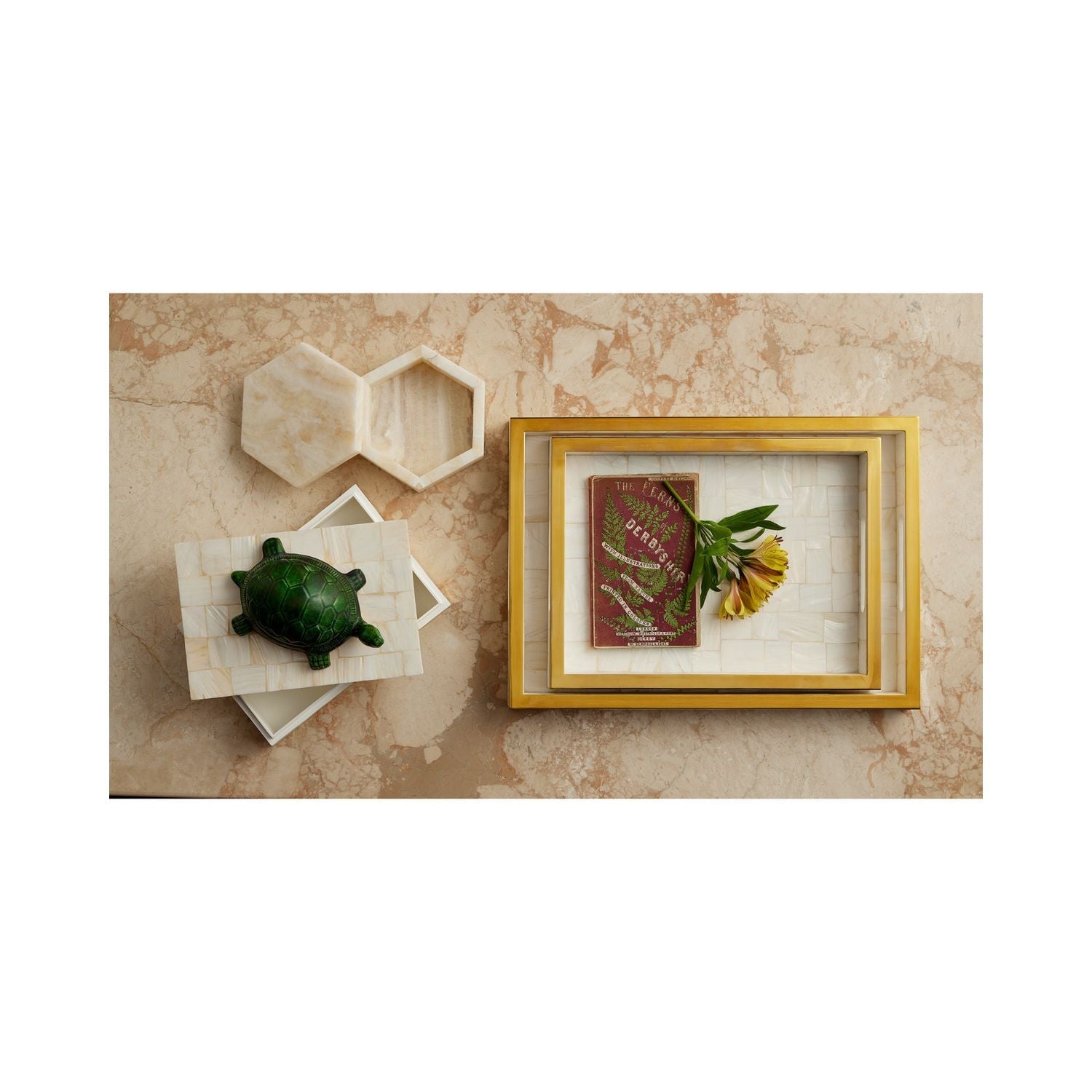 Casey Tray Set of 2