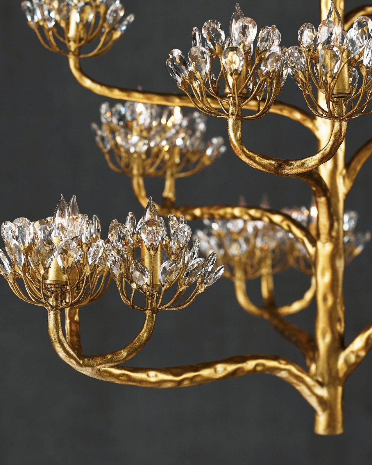 Agave Americana Gold Chandelier