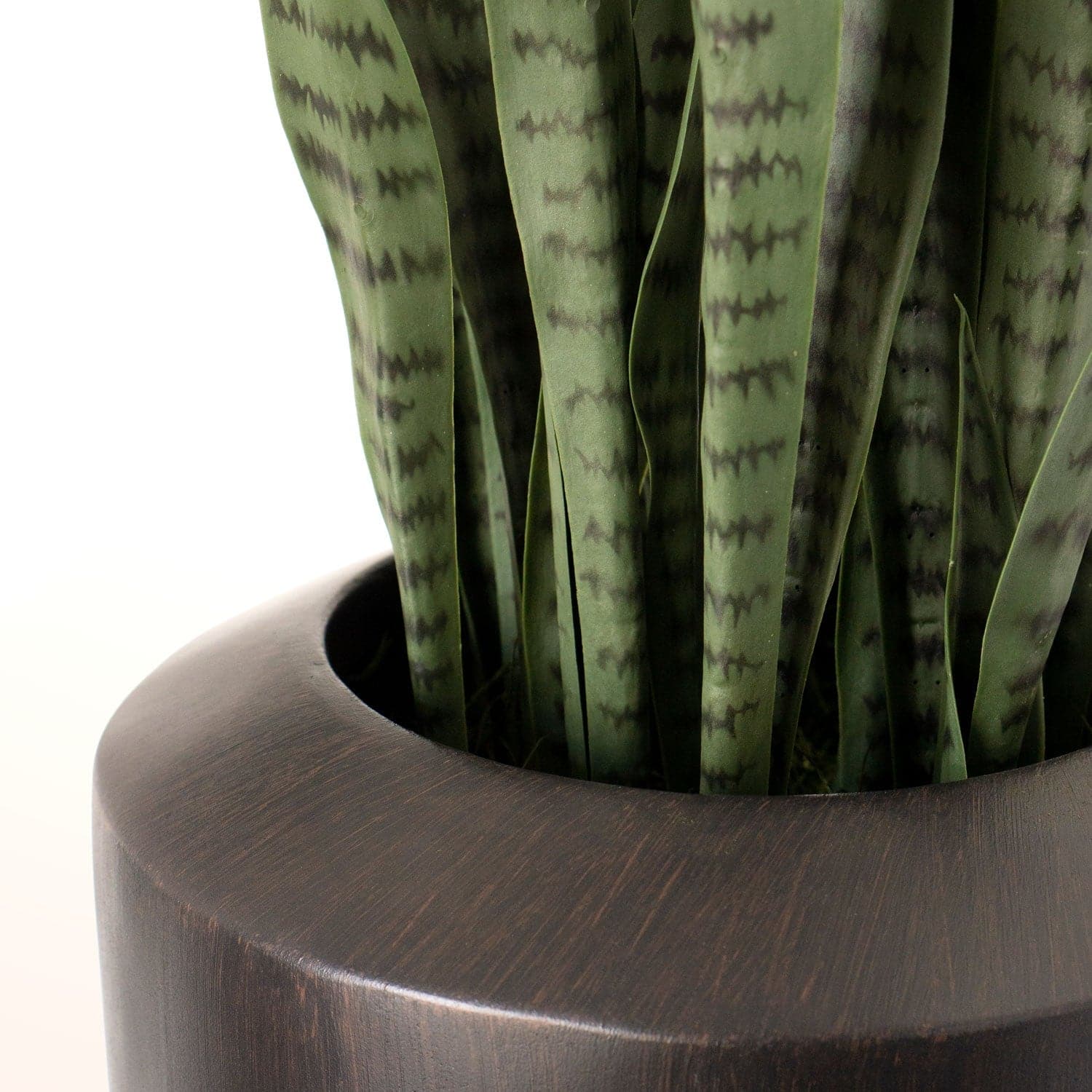 Sansevieria in SM Barrel Plant-Gold Leaf Design Group-GOLDL-HY1500-SM-Planters-3-France and Son