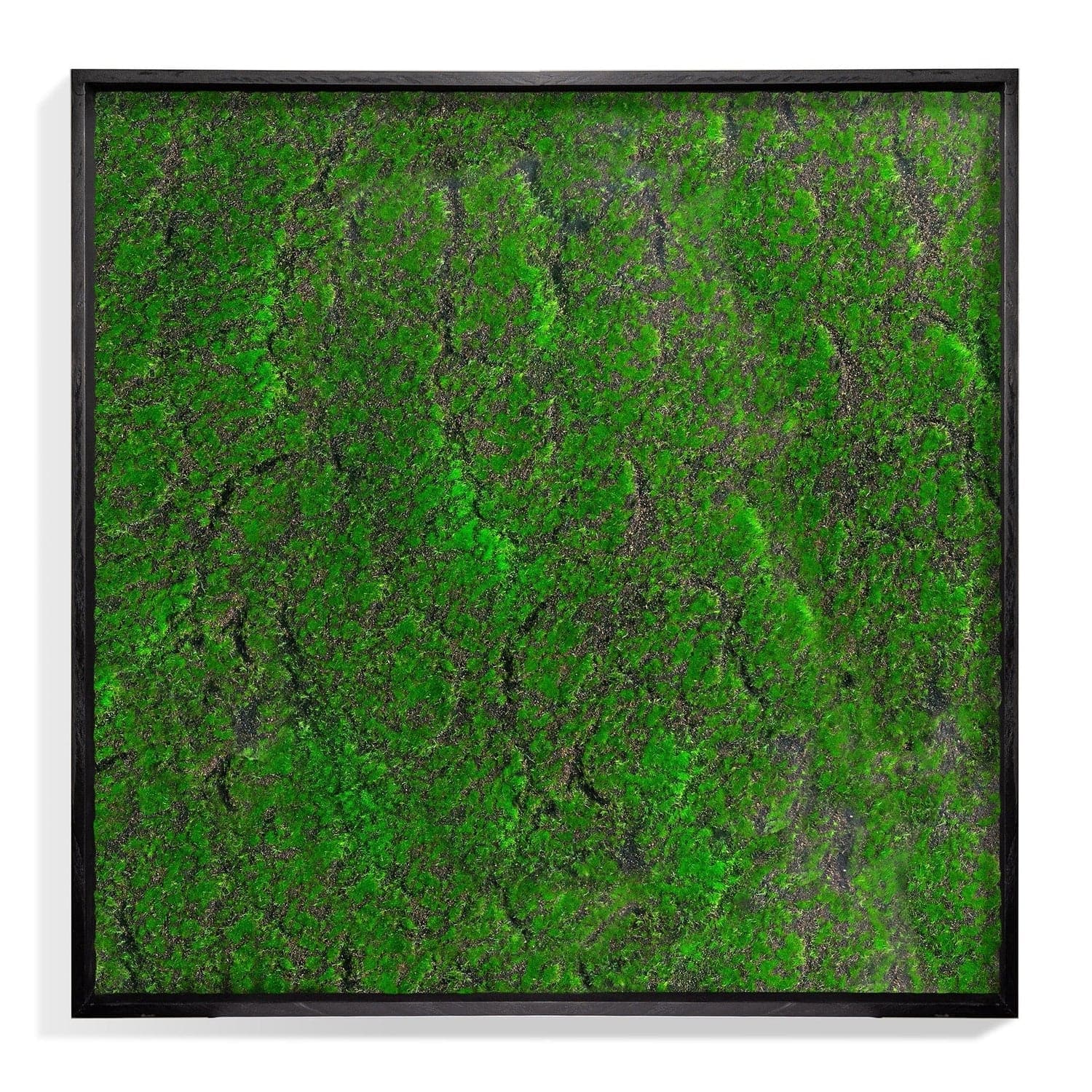 Green Wall-Gold Leaf Design Group-GOLDL-HY1524-25-Wall DecorSquare-1-France and Son