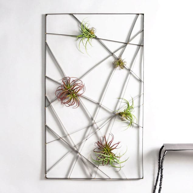 Intersect Wall Art w/Tillandsia-Gold Leaf Design Group-GOLDL-HY3632-1-Wall Decor-1-France and Son