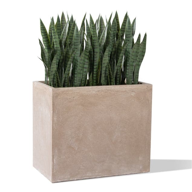 Sansevieria in Urbano Rectangle Planter-Gold Leaf Design Group-GOLDL-HY8304-PlantersLarge-3-France and Son