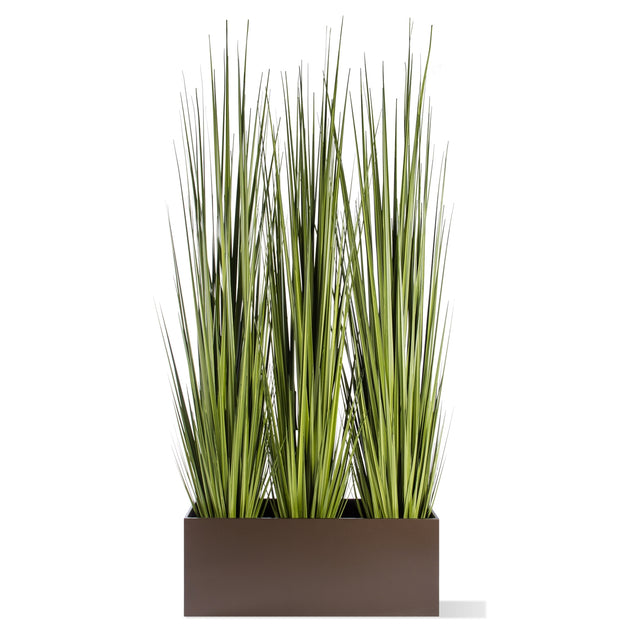 Century Grass In Rectangle Planter-Gold Leaf Design Group-GOLDL-HY8520-38-Planters38"OL-4-France and Son