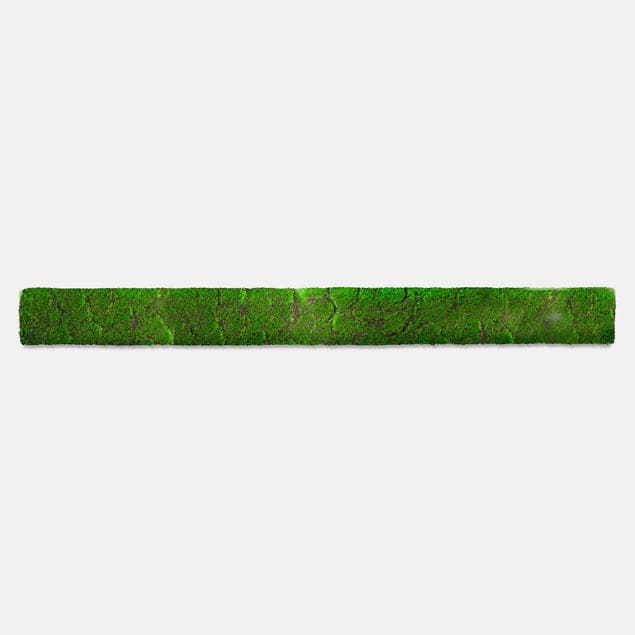 Green Wall, Strip - New Moss-Gold Leaf Design Group-GOLDL-HY8630-24-Decor24.5"L-4-France and Son