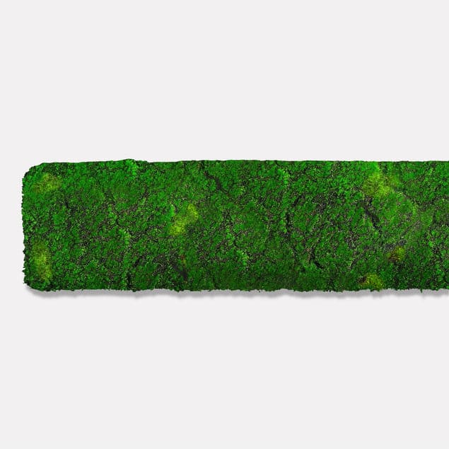 Green Wall, Strip - New Moss-Gold Leaf Design Group-GOLDL-HY8630-24-Decor24.5"L-2-France and Son