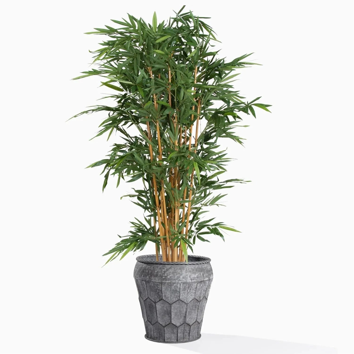 Bamboo Tree-Gold Leaf Design Group-GOLDL-HY8749-PlantersPiedra Planter SM-2-France and Son