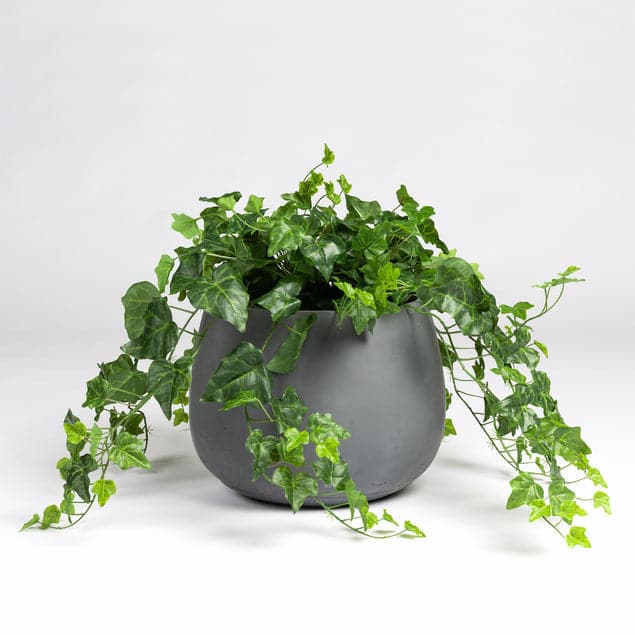 Ivy in Puddle Planter Grey-Gold Leaf Design Group-GOLDL-HY9452-19-PlantersSmall-1-France and Son
