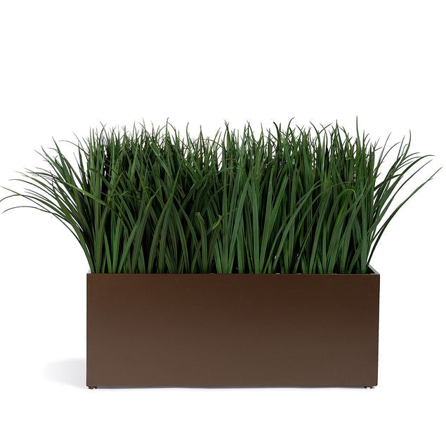 Grass, Liriope in Bronze Black Rectangle Planter-Gold Leaf Design Group-GOLDL-HY9493-50B-Planters-1-France and Son
