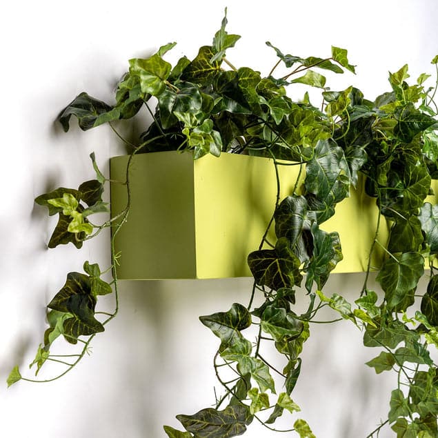 Green Wall, Ivy Planter-Gold Leaf Design Group-GOLDL-HY9527-48G-Planters-1-France and Son