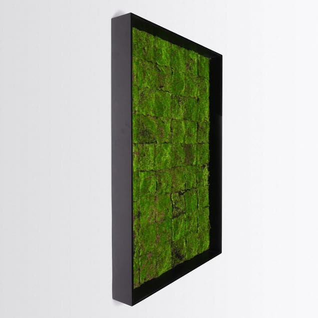 Green Wall, New Moss Patch-Gold Leaf Design Group-GOLDL-HY9531-37-Wall Decor-2-France and Son