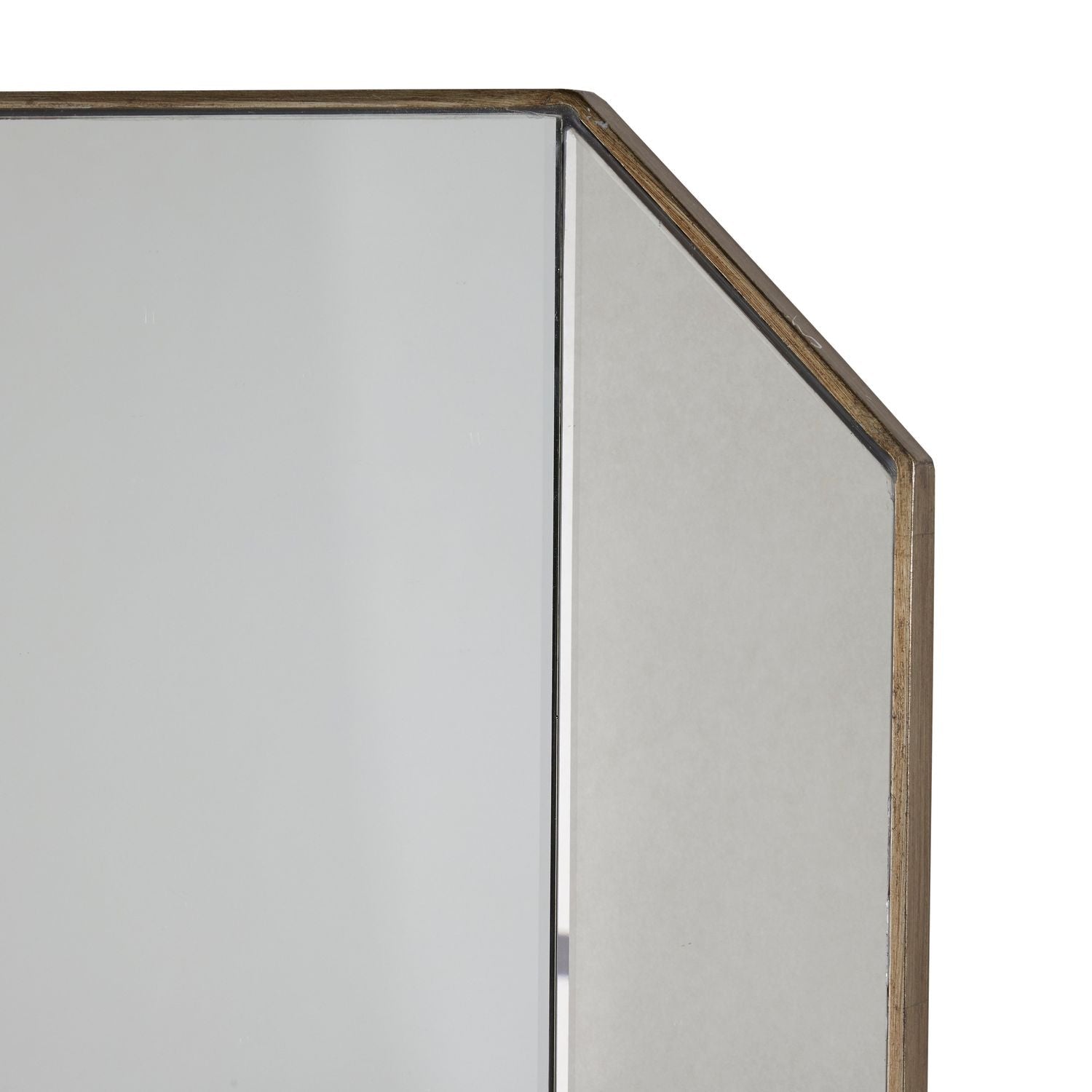 Lacy Octagonal Accent Mirror - Brushed Champagne, 60 In. H X 24 In. W X 1 In. D