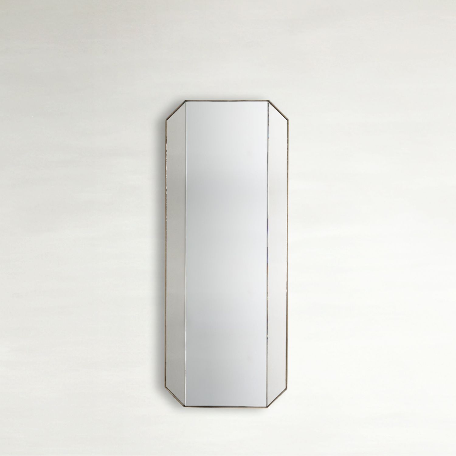 Lacy Octagonal Accent Mirror - Brushed Champagne, 60 In. H X 24 In. W X 1 In. D
