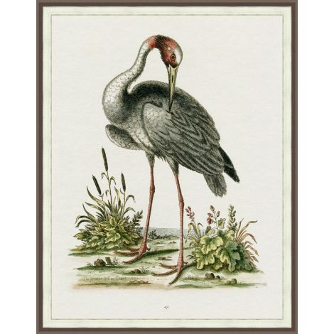 Regal Heron 1-Wendover-WEND-LA2328-Wall Art-1-France and Son