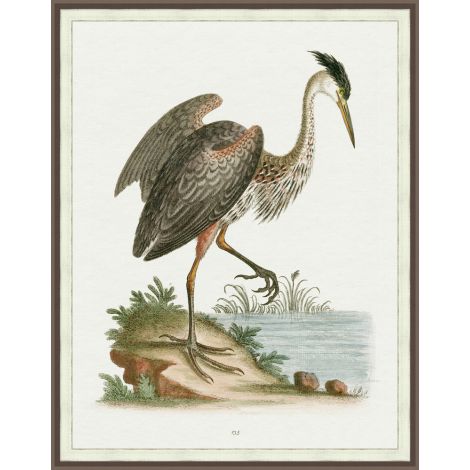 Regal Heron 2-Wendover-WEND-LA2329-Wall Art-1-France and Son