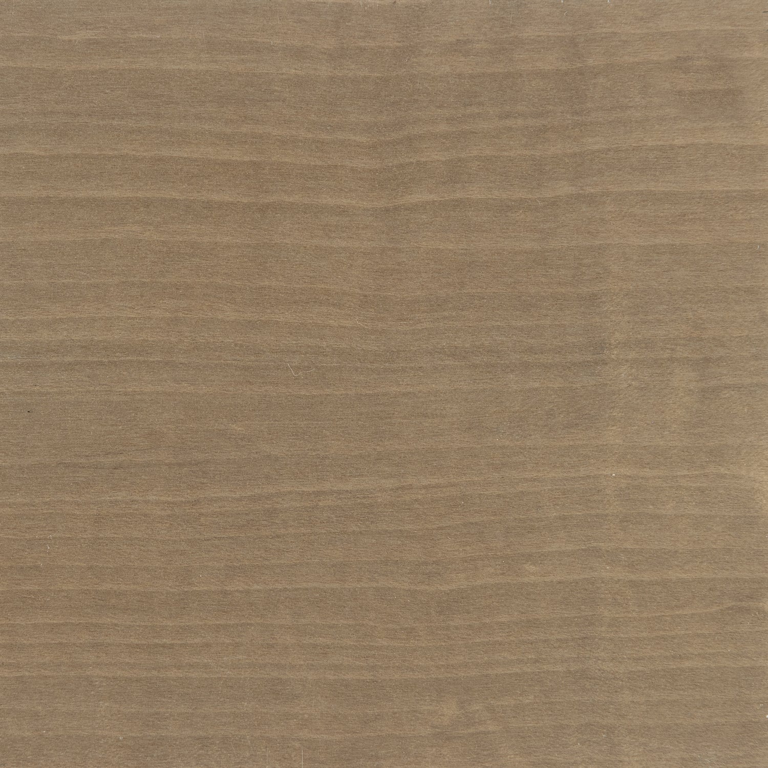 Daybreak  - Brown