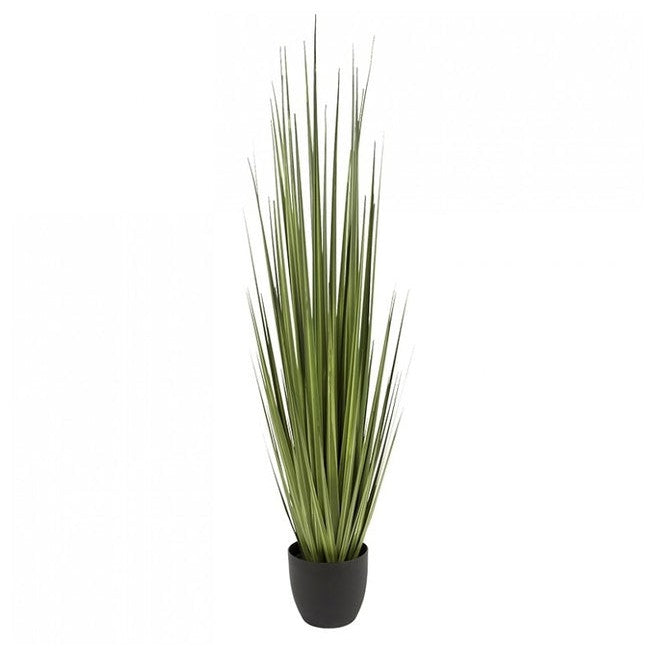 Century Grass In Rectangle Planter-Gold Leaf Design Group-GOLDL-HY8294-Planters64"OL-2-France and Son