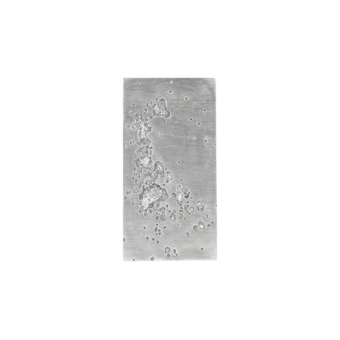 Splotch Wall Art-Phillips Collection-PHIL-PH94492-Wall ArtSilver Leaf-Rectangle I-26-France and Son