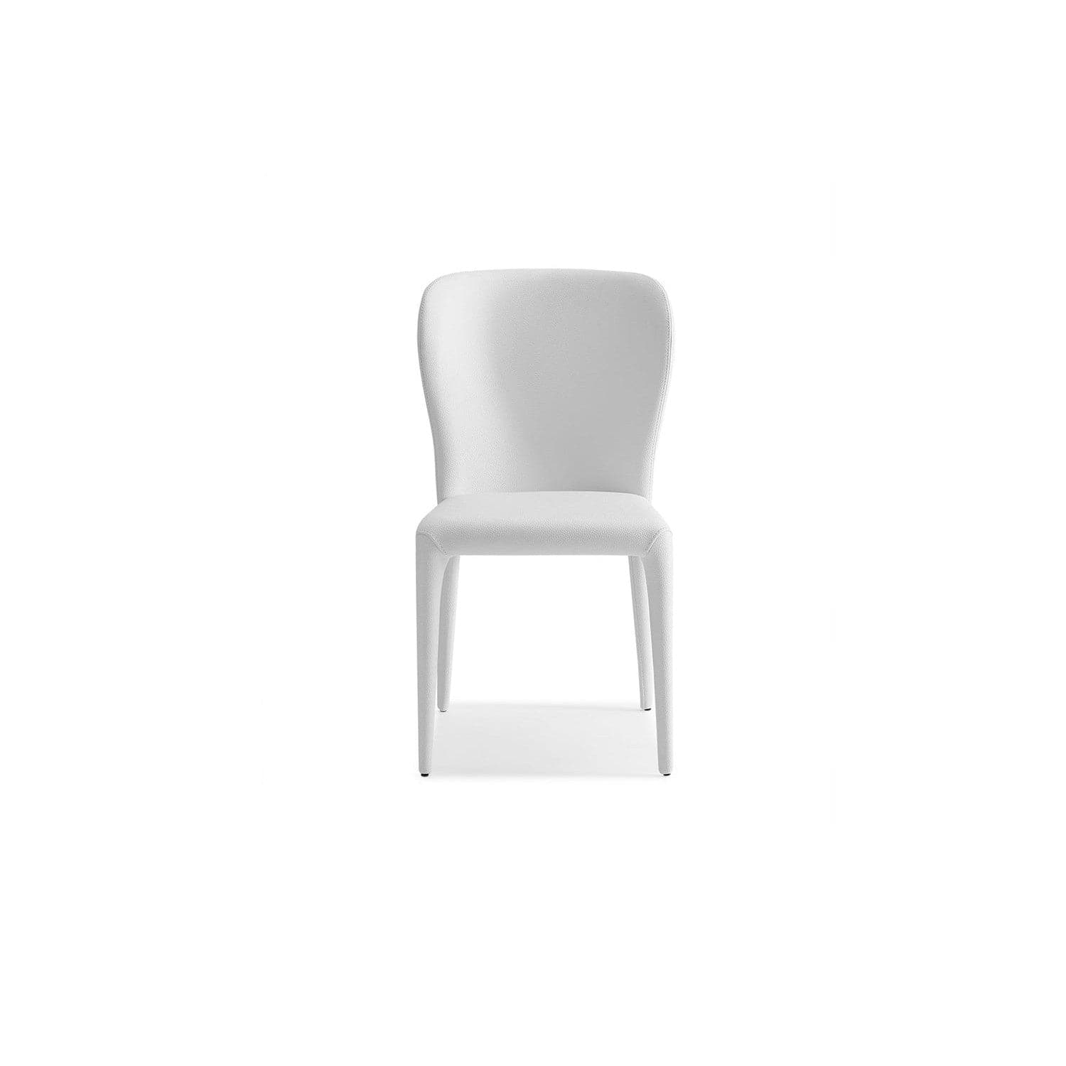 Hazel Dining Chair-Whiteline Modern Living-WHITELINE-DC1455-GRY-Dining ChairsGray-5-France and Son