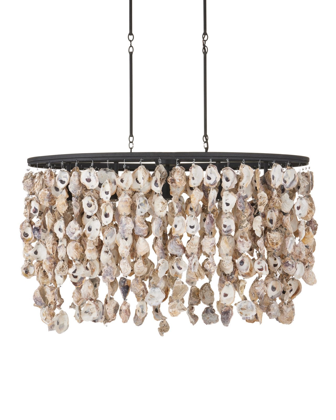 Stillwater Oyster Shell Oval Chandelier