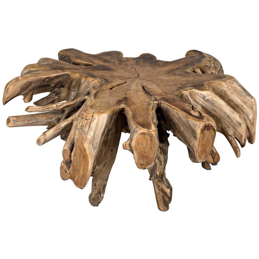 Teak Root Coffee Table-Noir-NOIR-TEAK101-Coffee Tables-3-France and Son