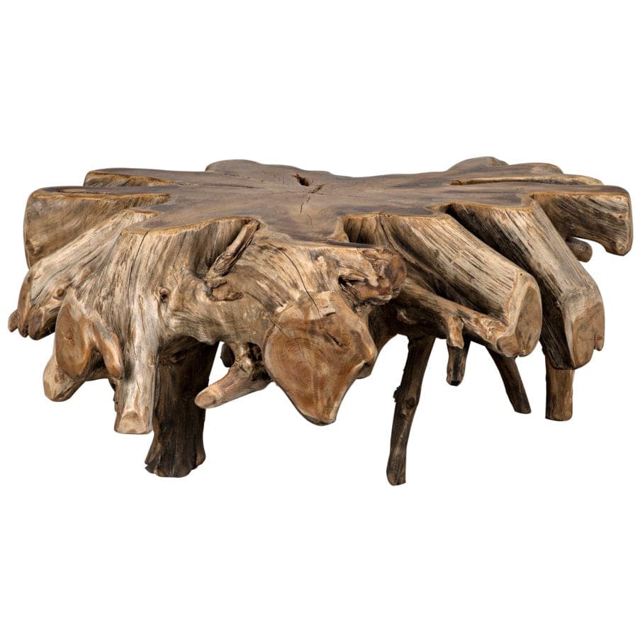 Teak Root Coffee Table-Noir-NOIR-TEAK101-Coffee Tables-1-France and Son