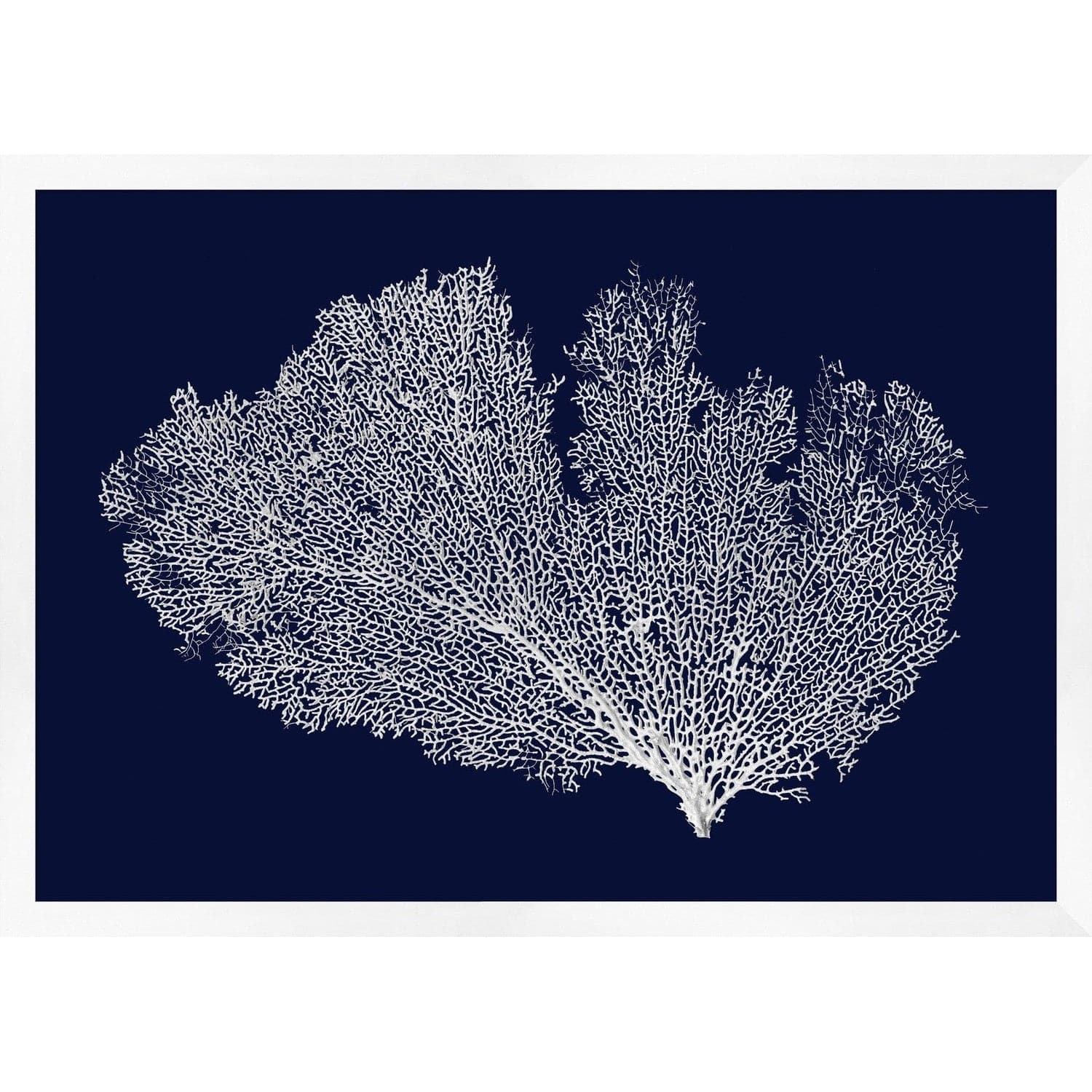 Grand Coral on Navy-Wendover-WEND-WCL1633-Wall Art-1-France and Son