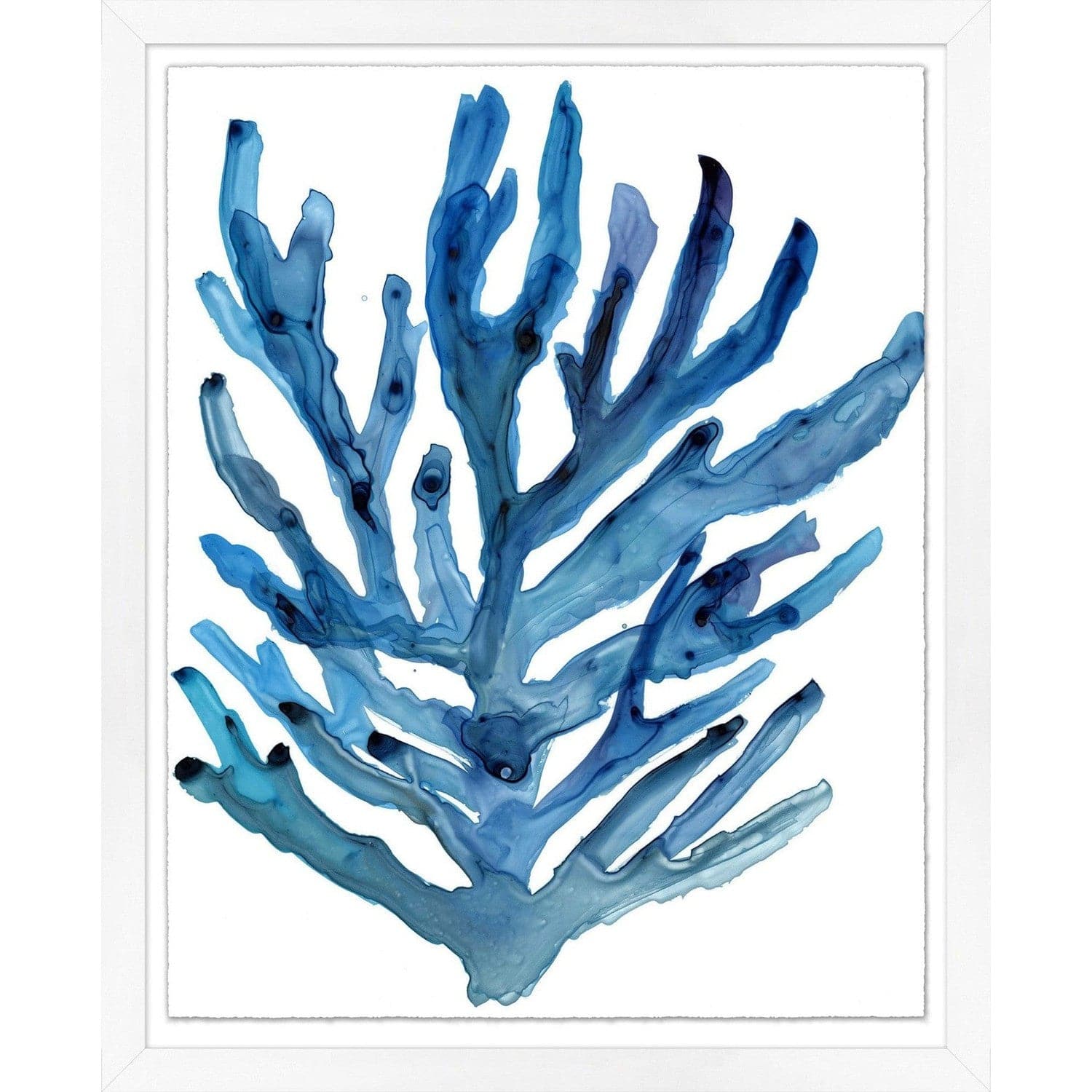 Statement Coral 2-Wendover-WEND-WCL2084-Wall Art-1-France and Son