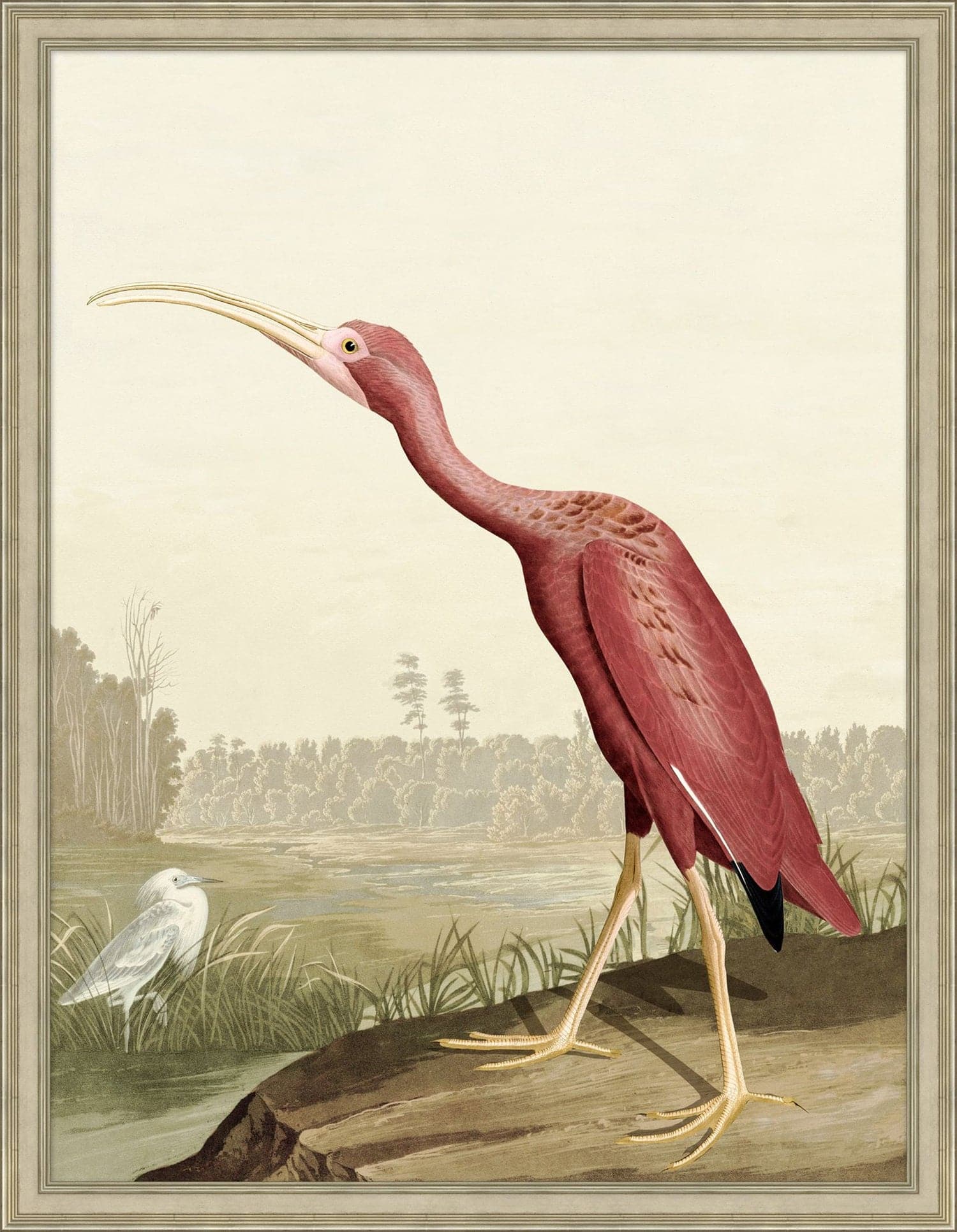 Audubon Ibis-Wendover-WEND-WCL2864-Wall Art2-2-France and Son