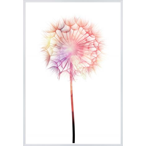 Colorful Dandilion-Wendover-WEND-WLA1444-Wall Art-1-France and Son