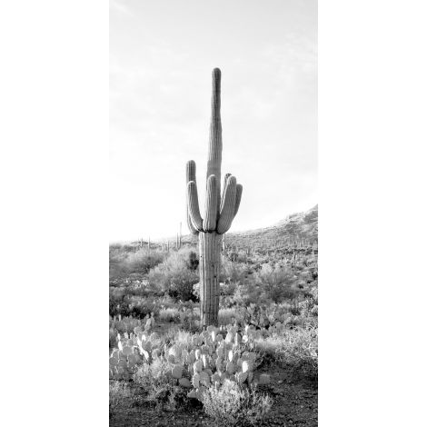 Tall Cactus-Wendover-WEND-WPH1411-Wall Art-1-France and Son