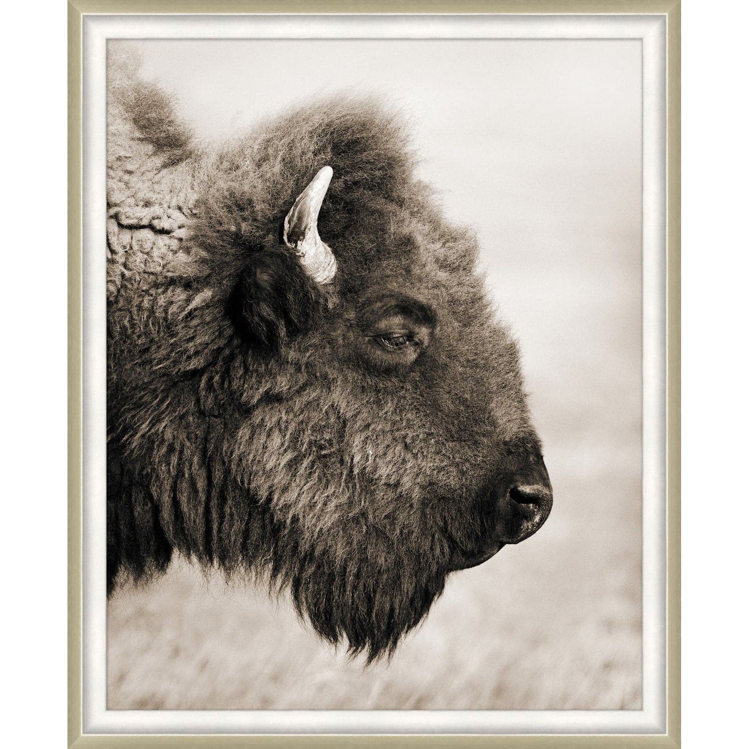 Badlands Bison-Wendover-WEND-WPH1876-Wall Art-1-France and Son